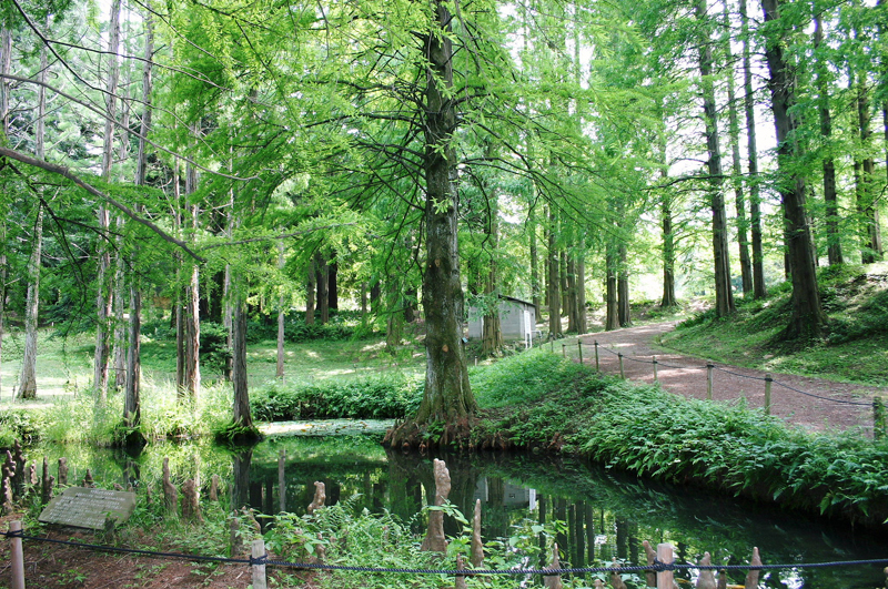 大阪市立大学理学部附属植物園