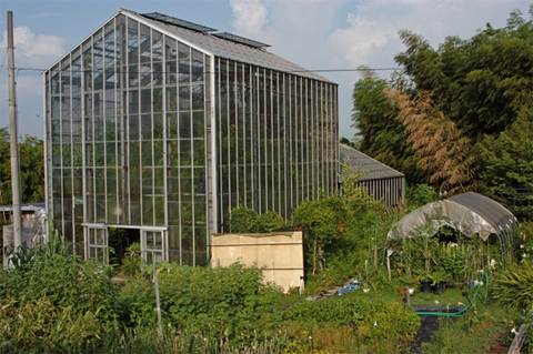 摂南大学薬学部附属薬用植物園