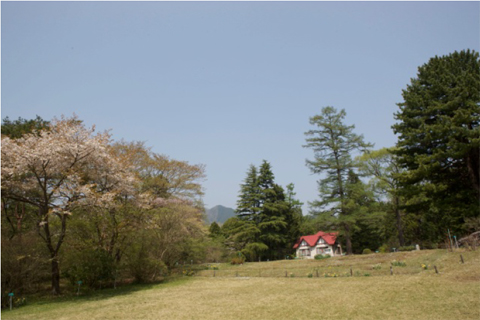 東京大学大学院理学系研究科附属植物園日光分園